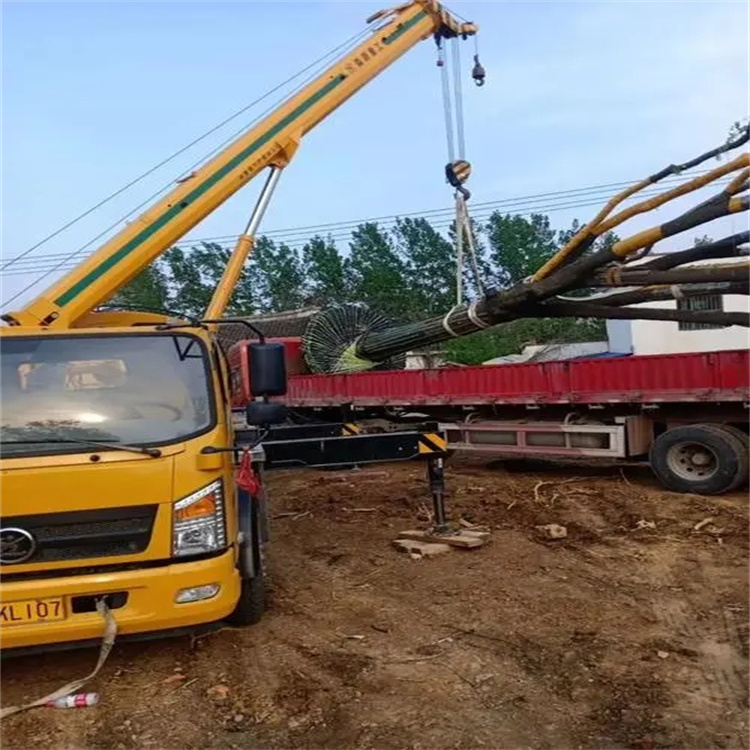 丹江口100吨吊车租赁费用怎么算？3大关键因素+省钱技巧全解析